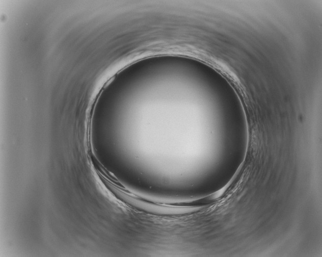 X0000086881528200704231050