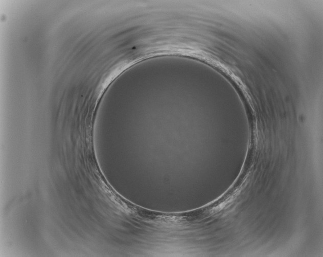 X0000086881529200704231050