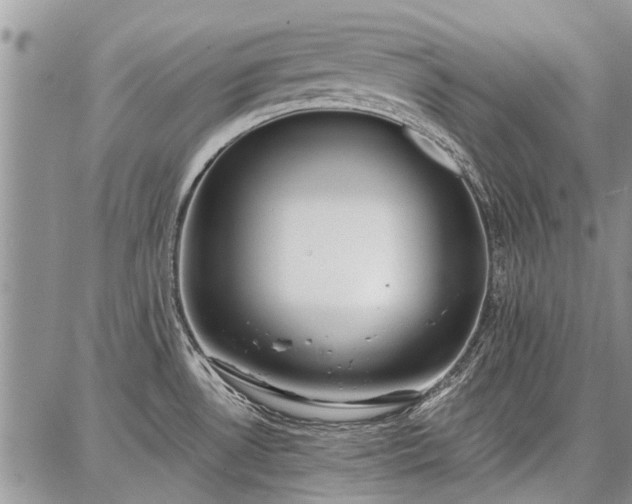 X0000086881530200704231050