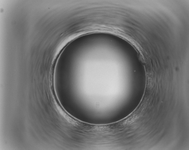 X0000086881531200704231050