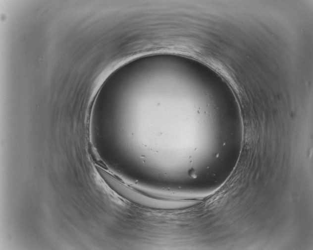 X0000086881532200704231050