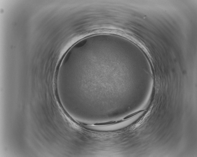 X0000086881533200704231050