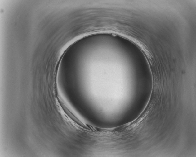 X0000086881534200704231050