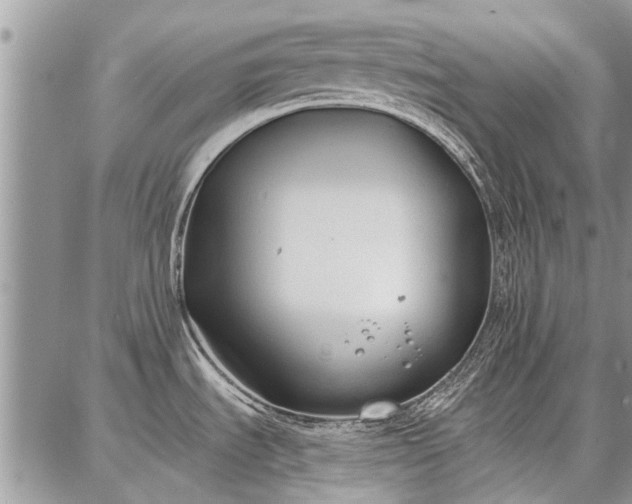 X0000086881535200704231050