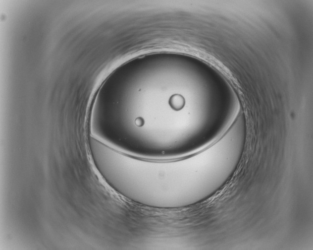 X0000086881536200704231050