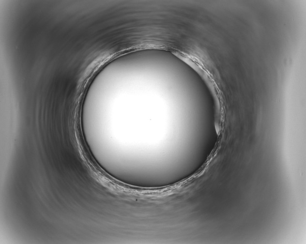 X0000086880001200704300946