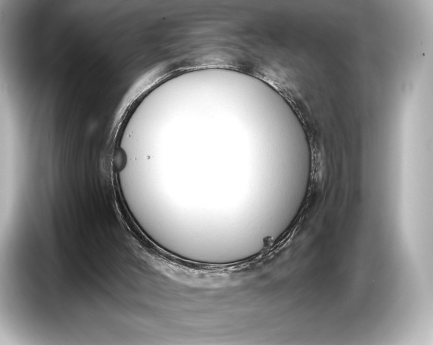 X0000086880004200704300946