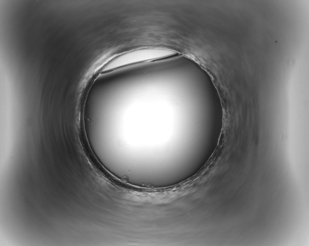 X0000086880005200704300946