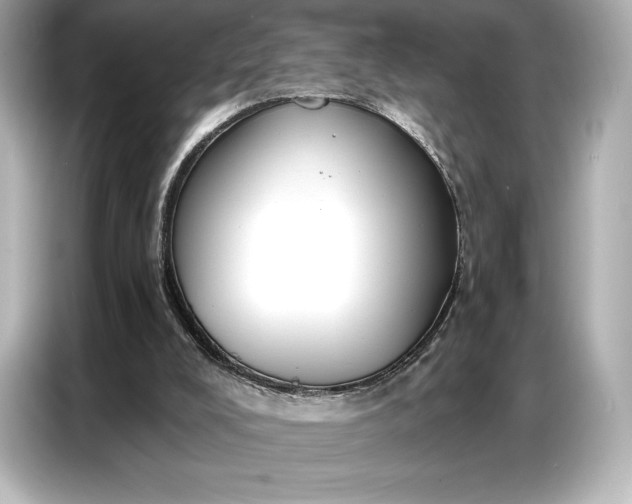 X0000086880008200704300946