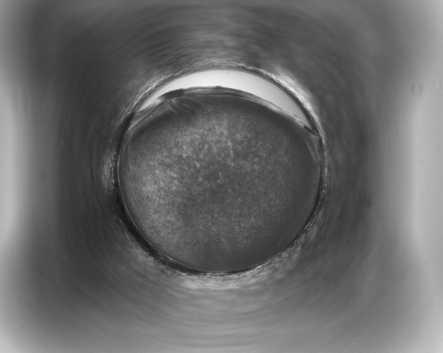 X0000086880009200704300946