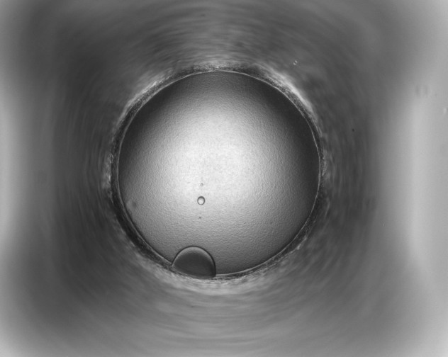 X0000086880010200704300946