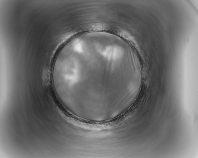 X0000086880012200704300946