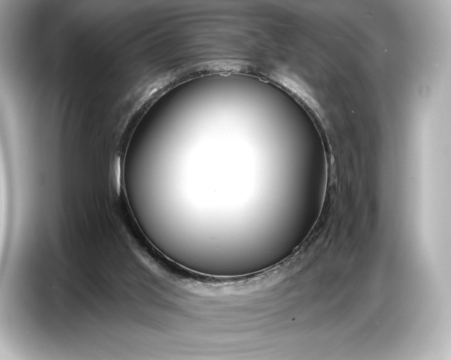 X0000086880013200704300946