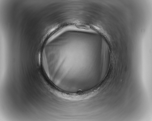 X0000086880014200704300946