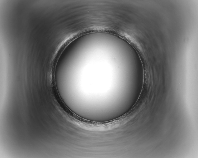 X0000086880015200704300946