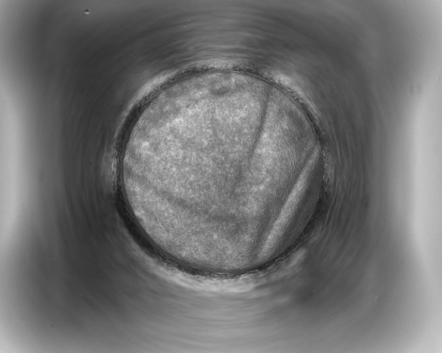 X0000086880016200704300946