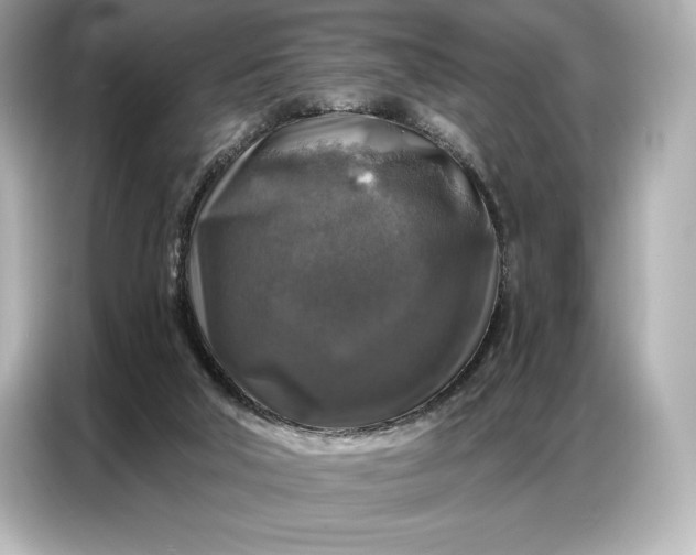 X0000086880018200704300946