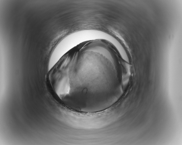 X0000086880019200704300946