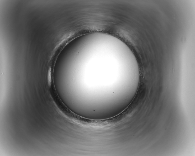 X0000086880020200704300946