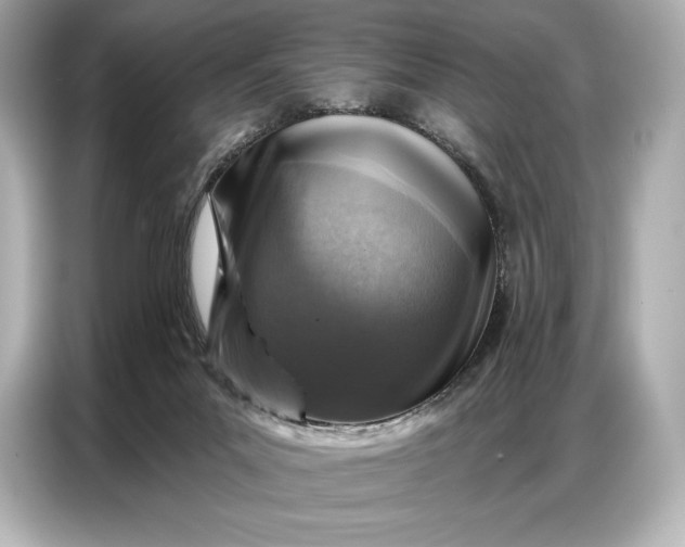 X0000086880023200704300946