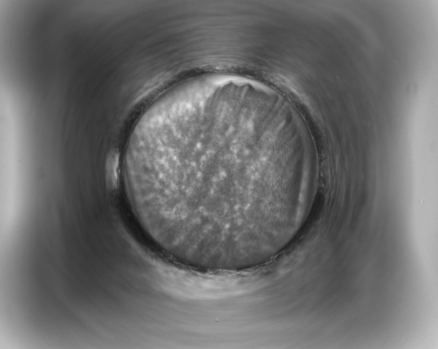 X0000086880024200704300946