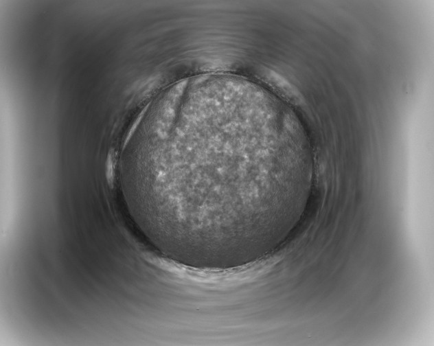 X0000086880026200704300946