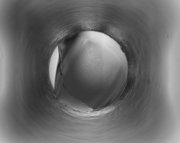 X0000086880027200704300946