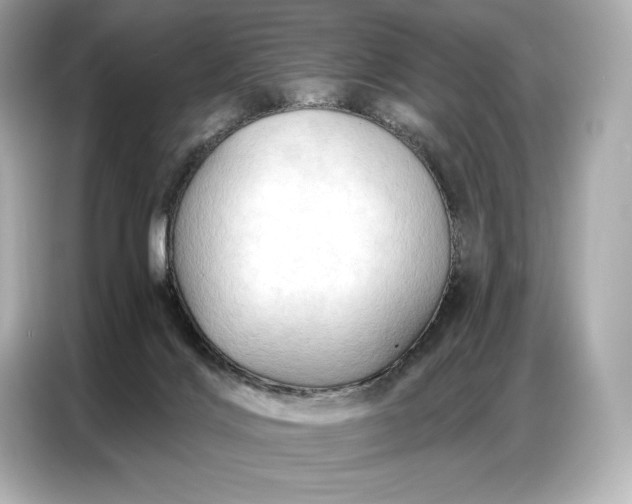 X0000086880028200704300946