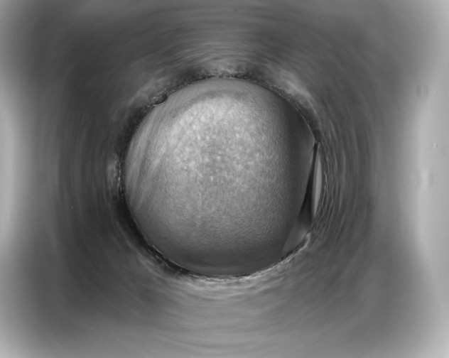 X0000086880029200704300946