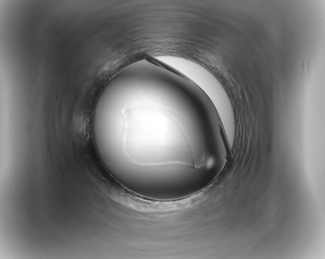 X0000086880031200704300946