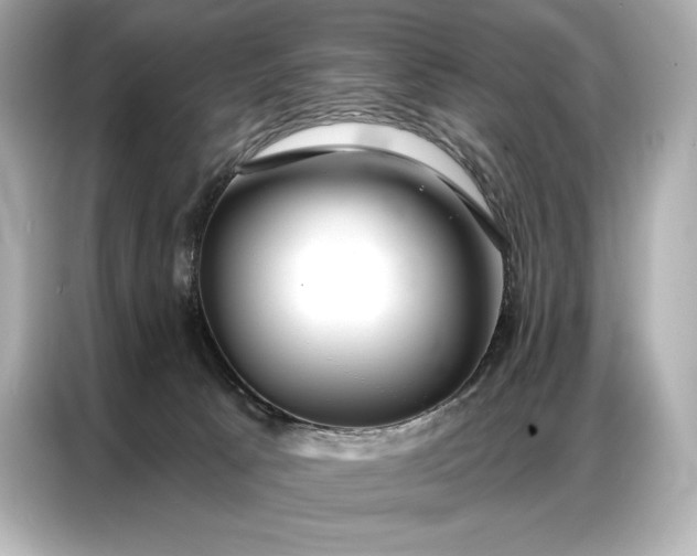 X0000086880033200704300946