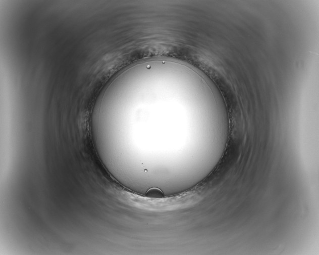 X0000086880034200704300946