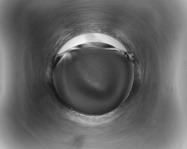 X0000086880035200704300946