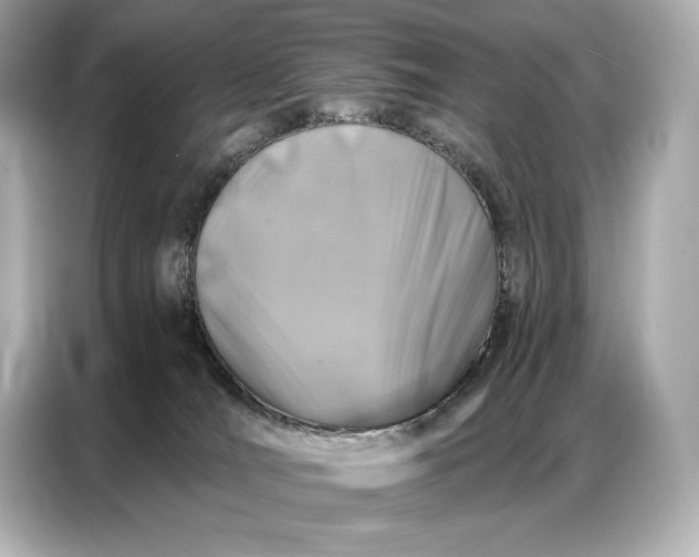 X0000086880036200704300946