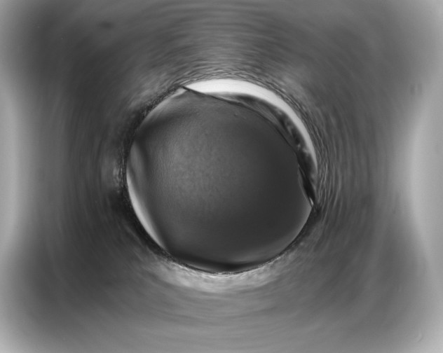 X0000086880039200704300945