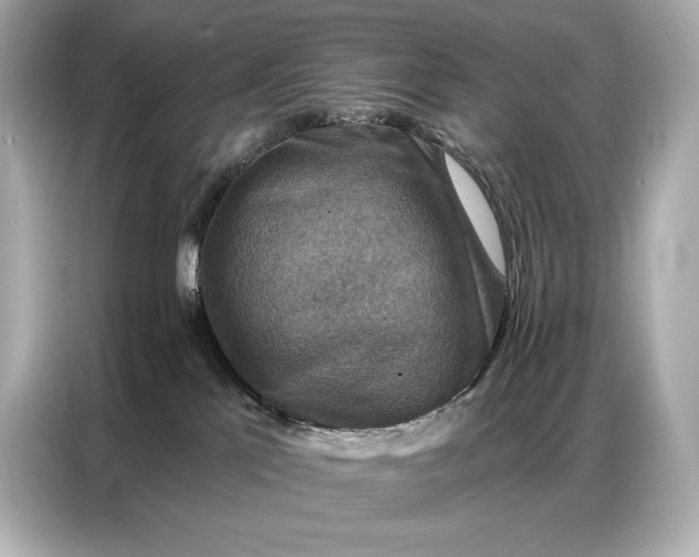 X0000086880041200704300945