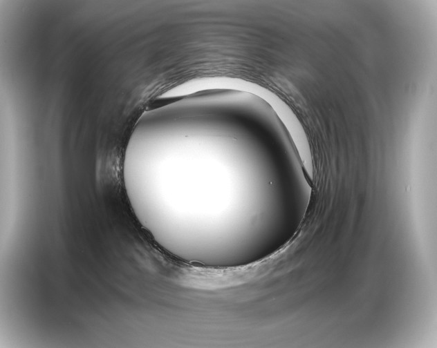 X0000086880045200704300945