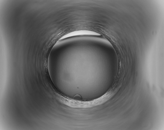 X0000086880048200704300945