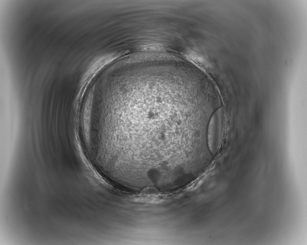 X0000086880049200704300945