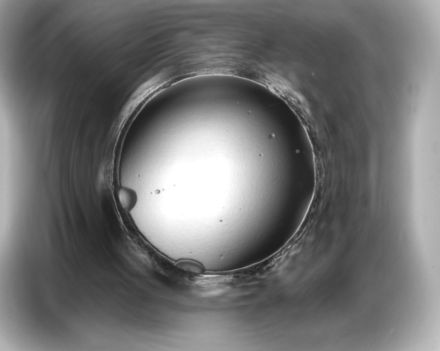 X0000086880051200704300945