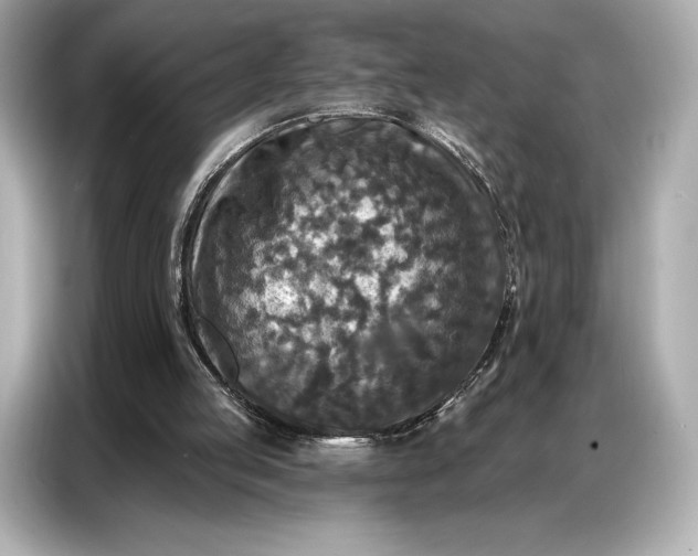 X0000086880053200704300945