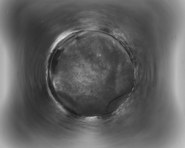 X0000086880054200704300945