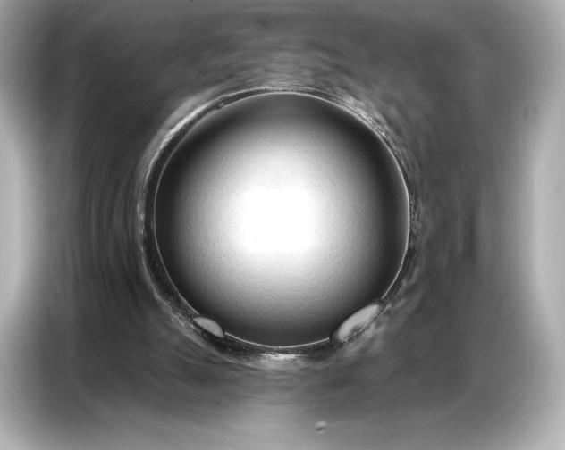 X0000086880055200704300945