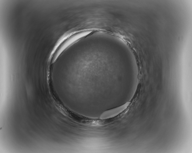 X0000086880056200704300945