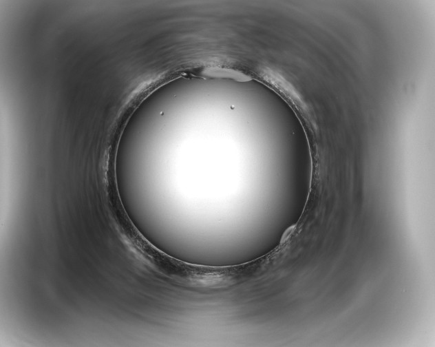 X0000086880058200704300945