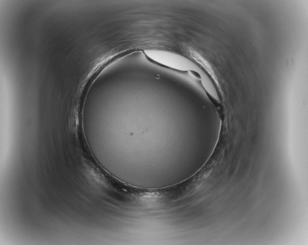 X0000086880059200704300945