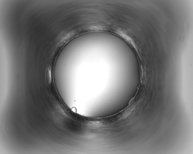 X0000086880061200704300945