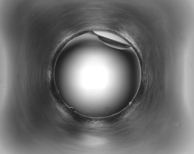 X0000086880063200704300945