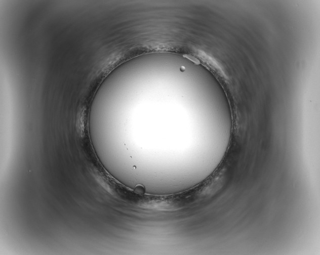 X0000086880065200704300945