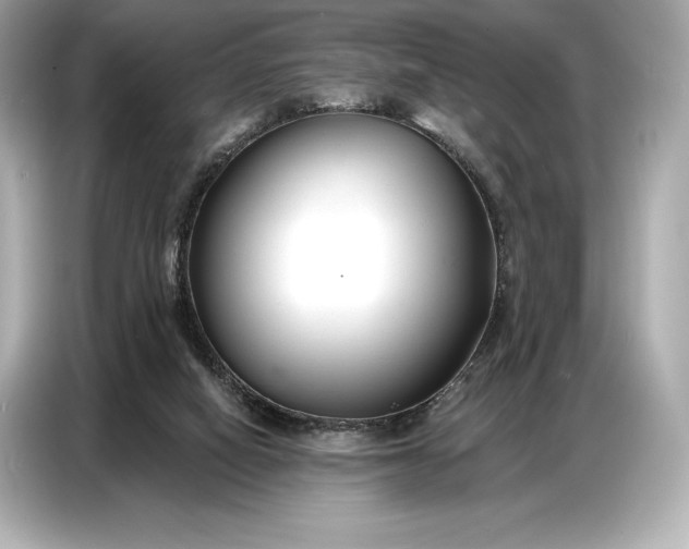 X0000086880066200704300945